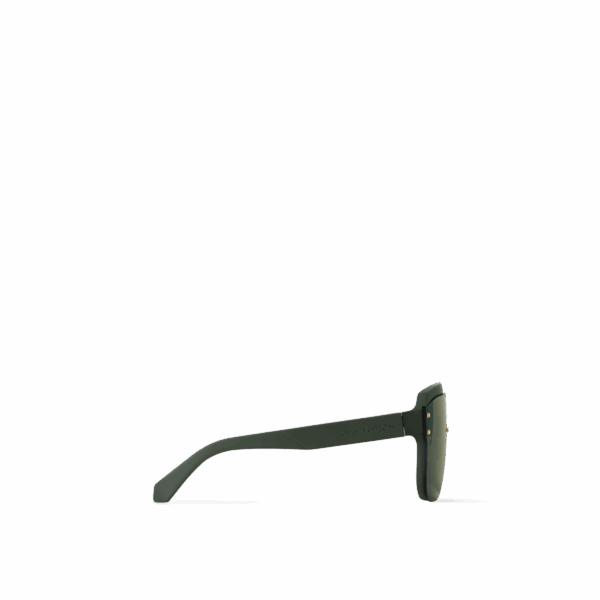 LV Waimea Round Sunglasses - Image 2